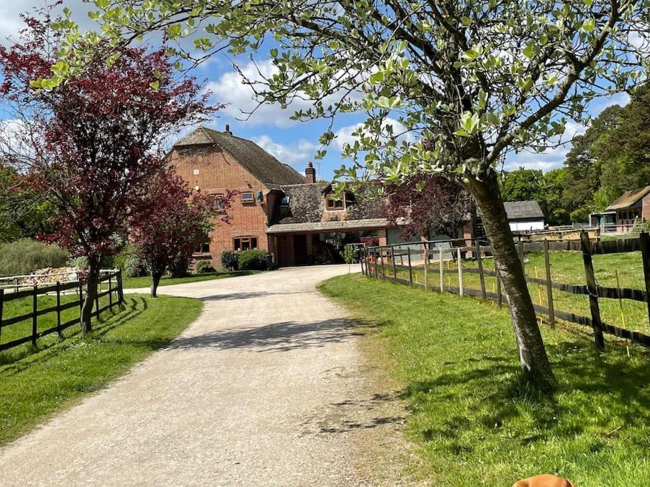 Self Catering Apartment, Jurassic Coast/Dorset Wareham Buitenkant foto